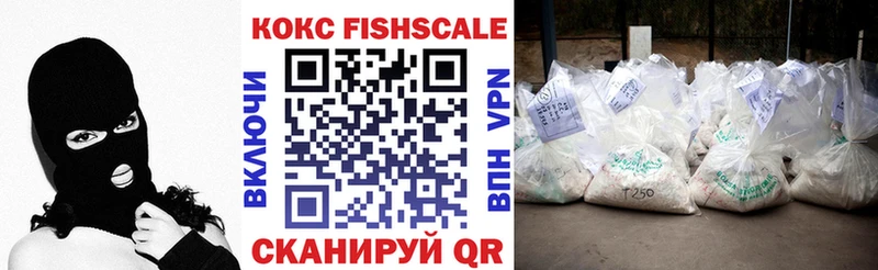 Кокаин FishScale  Купить  Инза 