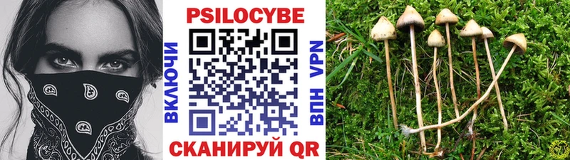 Купить закладки  Инза  Псилоцибиновые грибы мицелий 